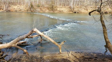 Native American Fish Traps: Design & Sustainability
