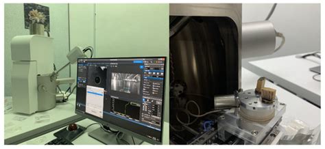 The Effects of Self-Polymerized Polydopamine Coating on Mechanical ...