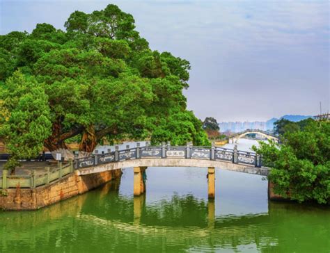 小桥、流水、古树-新闻中心-温州网