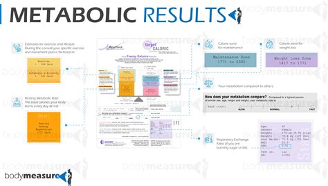 How To Measure Your Metabolic Rate – WVTC