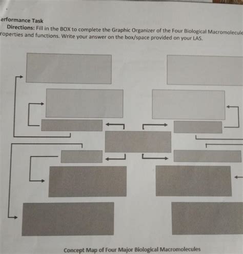 formance Task Directions: Fill in the BOX to complete the Graphic ...