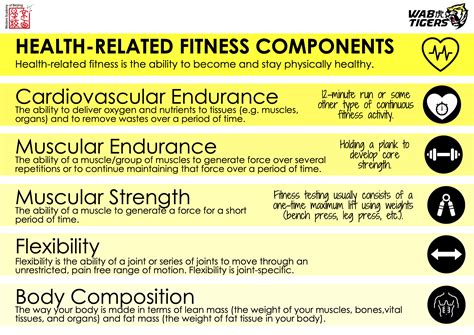 Health Related Fitness Components K 5 Skill Related Components Of