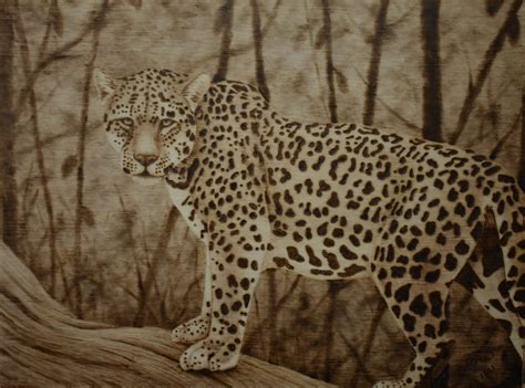 Image result for Pyrography Animals