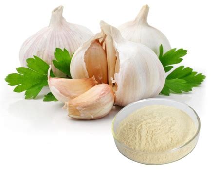 Garlic Extract Manufacturer & Producer in India