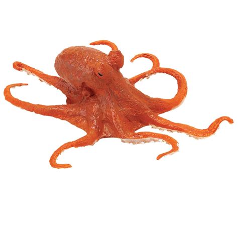 Image result for Octopus Metaheuristic Algorithm