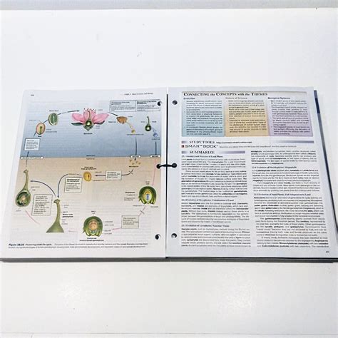 Biology, 13th Edition, Loose Leaf Textbook (McGraw Hill) by Mader ...