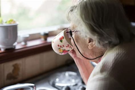 Loss of Appetite in the Elderly: Causes and Support