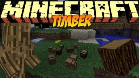 Image result for Minecraft How to Install Timber Mod