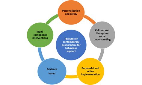 Positive Behaviour Support Example 的图像结果