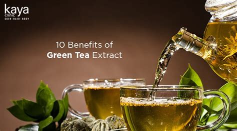 10 Benefits of Green Tea Extract - Blog