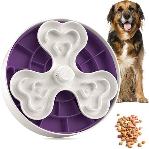 Amazon.com: Puzzle Feeder Slow Feeder Dog Bowls, Dishwasher Safe Dog ...