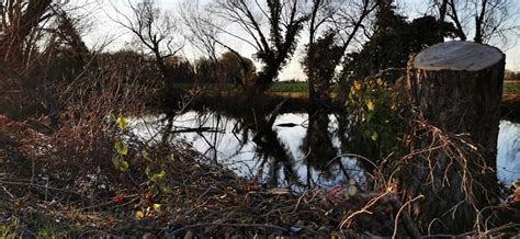 Isonzo Isola Morosini con guida Paolo Utmar IFDS , Viale San Marco, 9 ...