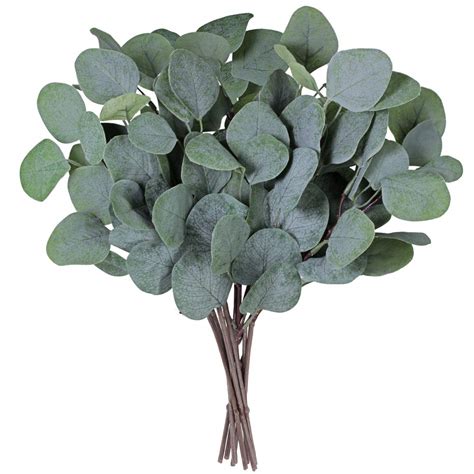 Buy Supla 10 Pcs Fake Eucalyptus Leaves Stems Bulk Artificial Silver ...