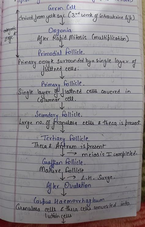 Ovarian follicular growth and differentiation? - Brainly.in