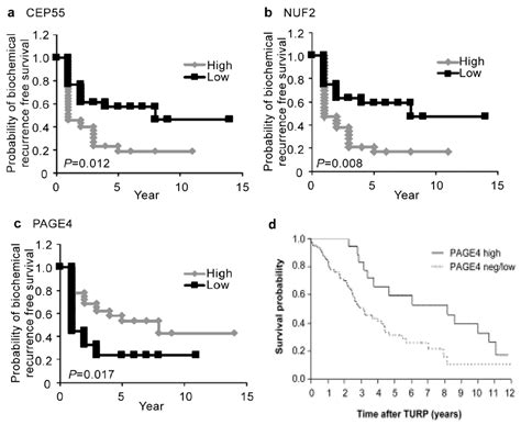 Prostate-Associated Gene 4 (PAGE4): Leveraging the Conformational ...