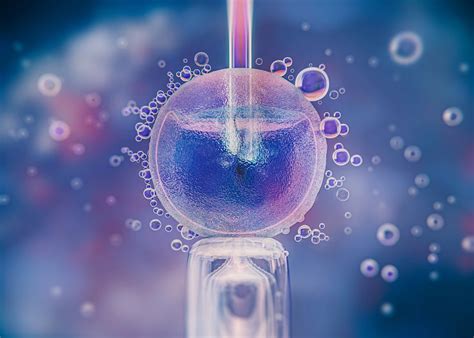 NO.1 IVF center in Bareilly - Sunrise IVF