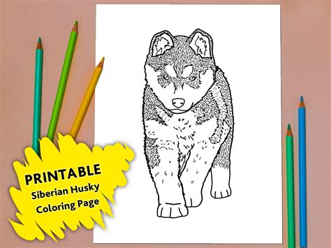 Siberian Husky Coloring Pages [2025]