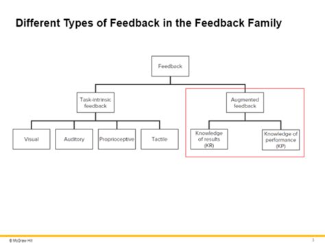 Augmented Feedback Types 的图像结果