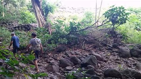 Ili'ili'opae Heiaui via Wailau Trail, Kaunakakai - Tripadvisor