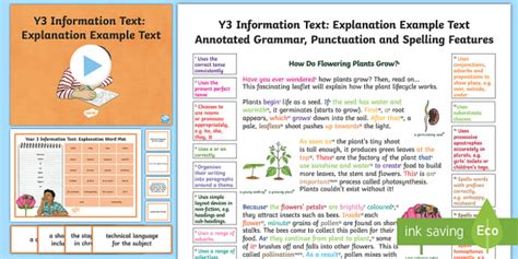 Y3 Information Texts: Explanation Model/Example Text - Writing