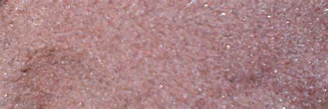 Amaris Oceanic Garnet