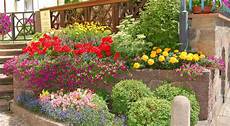 terrazzo fiorito tutto l anno bordura aiuola o terrazzo il piacere giardinaggio terrazzo fiorito tutto l anno bordura aiuola o terrazzo il piacere giardinaggio