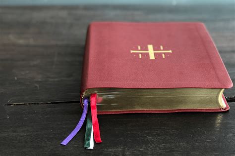 Spanish Language BCP Translation Feedback