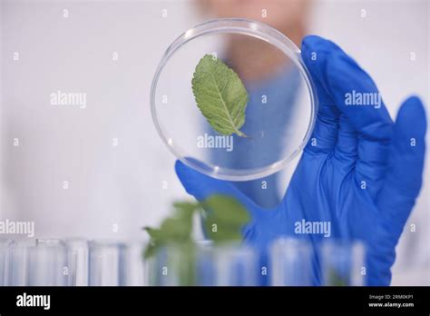 Nature Biotechnology 的图像结果