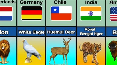 Image result for Animals On Button Moon