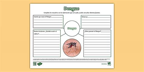 Mapa mental: características del Dengue - Twinkl