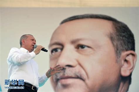 埃尔多安在土耳其总统选举中获胜-国际在线