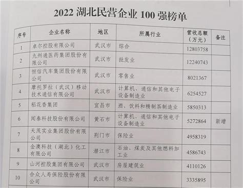 2022湖北民营企业100强榜单发布