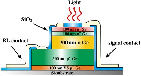 Micro LED Chips Process 的图像结果