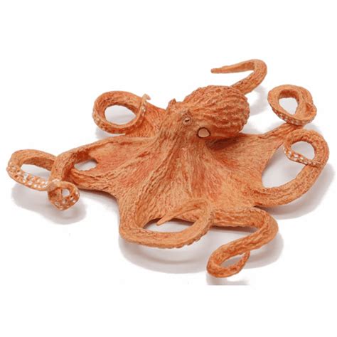 Image result for Octopus Metaheuristic Algorithm