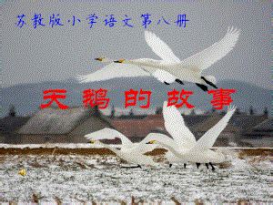 Code API 的图像结果