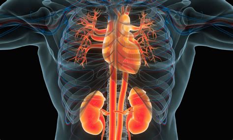 Earlier treatment with SGLT2 inhibitor canagliflozin confers ...