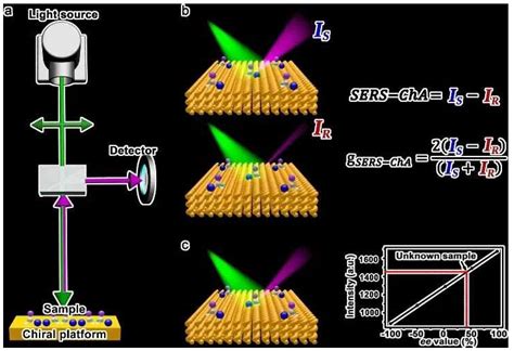 Recent Advances in Chiral Gold Nanomaterials: From Synthesis to ...