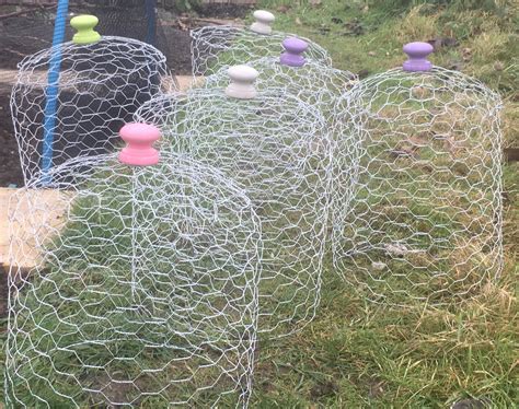 Wire Cages For Plants - Plant Ideas