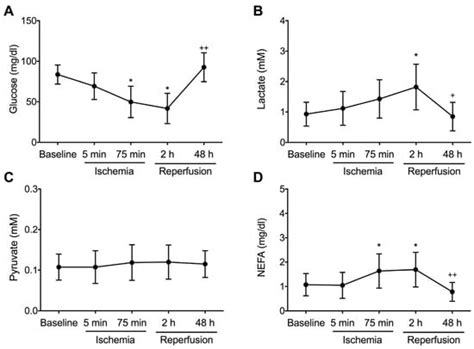 Temporal and Spatial Dynamics in the Regulation of Myocardial ...