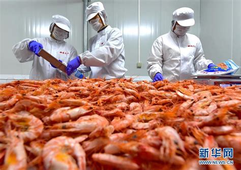 2020年中国海产品进口额下降20%，出口额下降8%_第18届上海国际渔业博览会