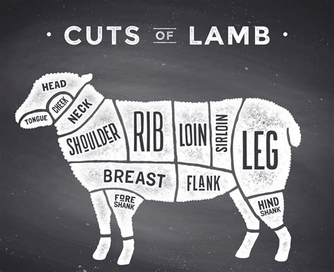 How To Cut Meat Off Lamb Shoulder at Donna Champion blog