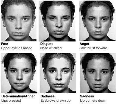 Microexpression 的图像结果
