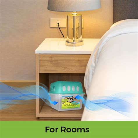 Amazon.in: ABSORBIA