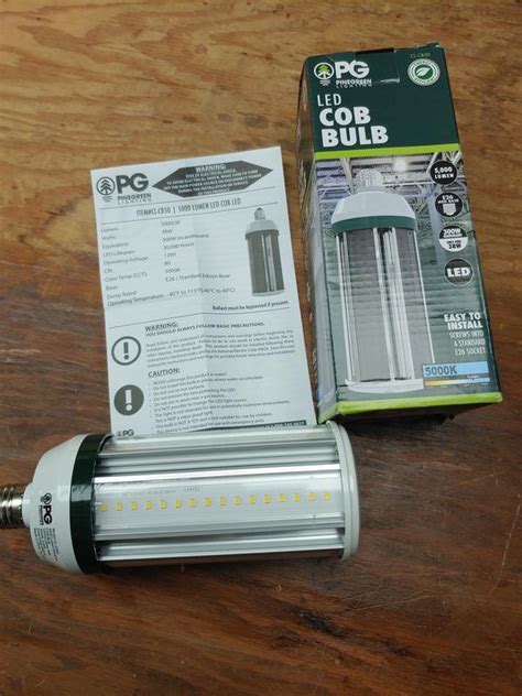 Pinegreen Lighting 125-Watt EQ Daylight E26 LED General Purpose Light ...