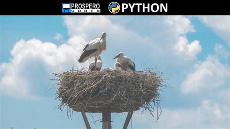 Image result for Numeric Nested Loop in Python