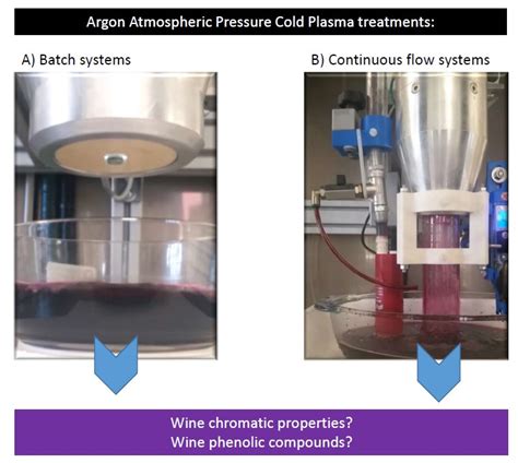 Effect of the Atmospheric Pressure Cold Plasma Treatment on Tempranillo ...