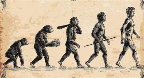 人类为什么不进化了，人不是进化来的(地球是监狱宇宙是圈套) — 探灵网