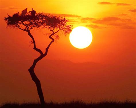 Rhino safaris / Kudu safaris