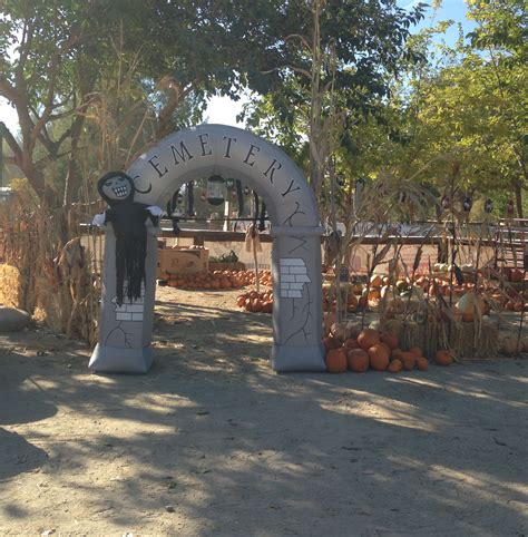 Frandy Campground Gallery | Kern River Camping 93238