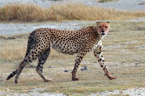 Image result for Python List Iteration